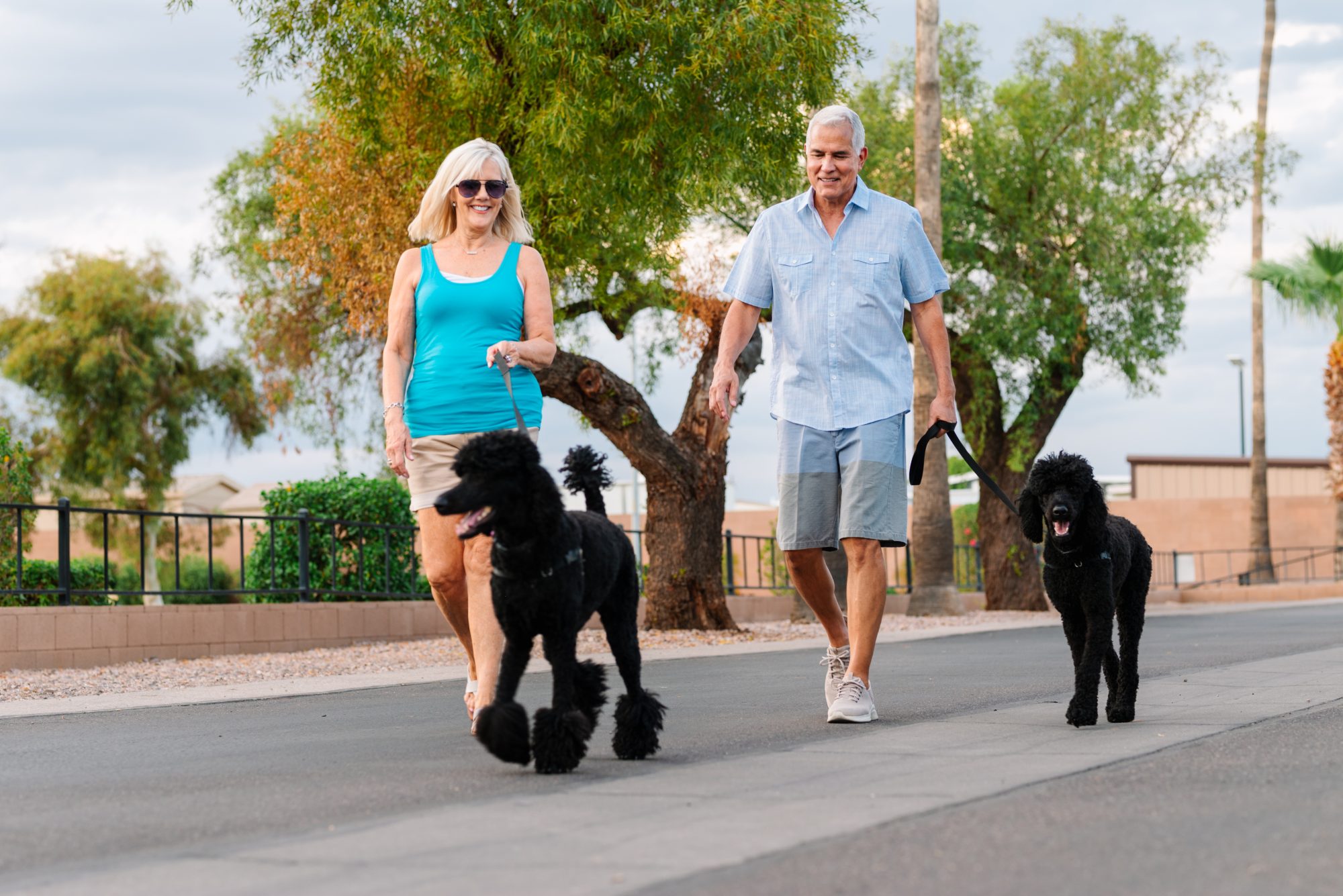 A couple walks their two black poodles on a paved path, surrounded by greenery and trees in Phoenix