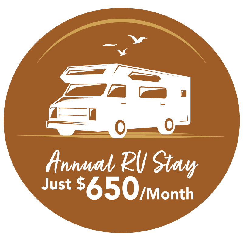 DS RV Promo Callout 2026